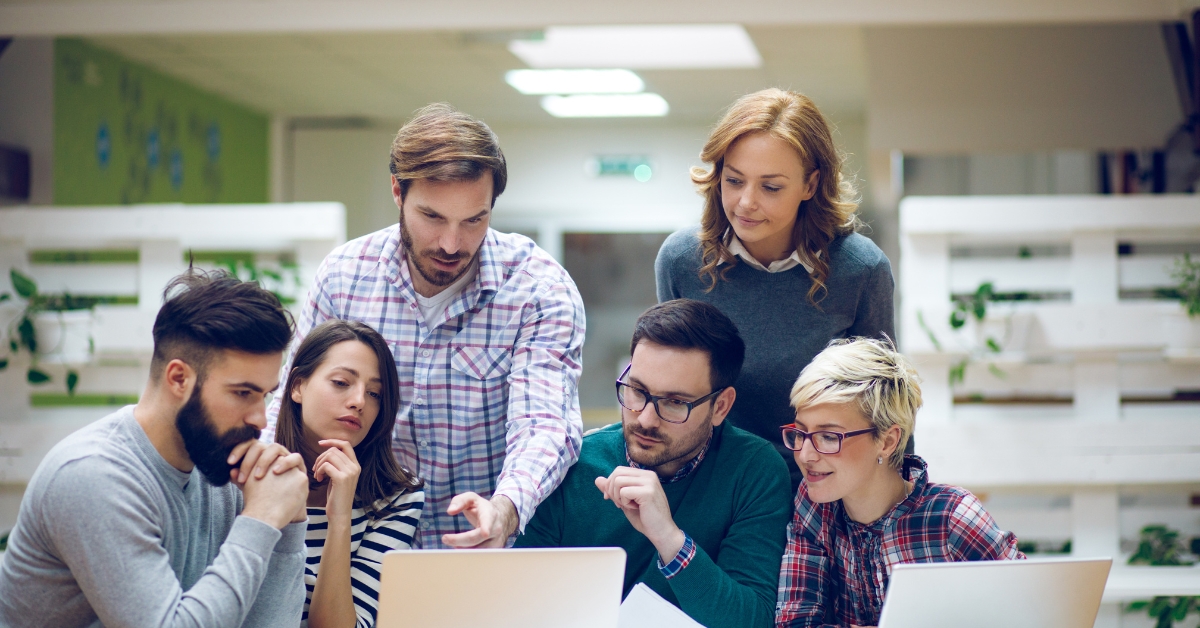 software development life cycle